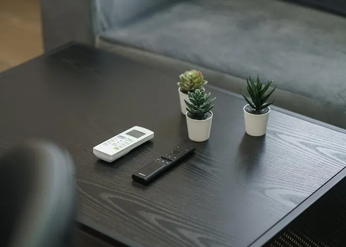 Diamond 特罗吉尔